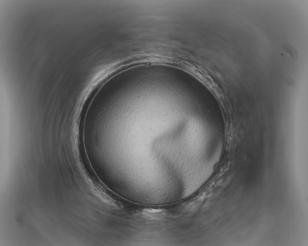 X0000112720055200909031425