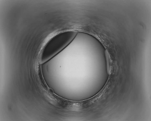 X0000112720056200909031425