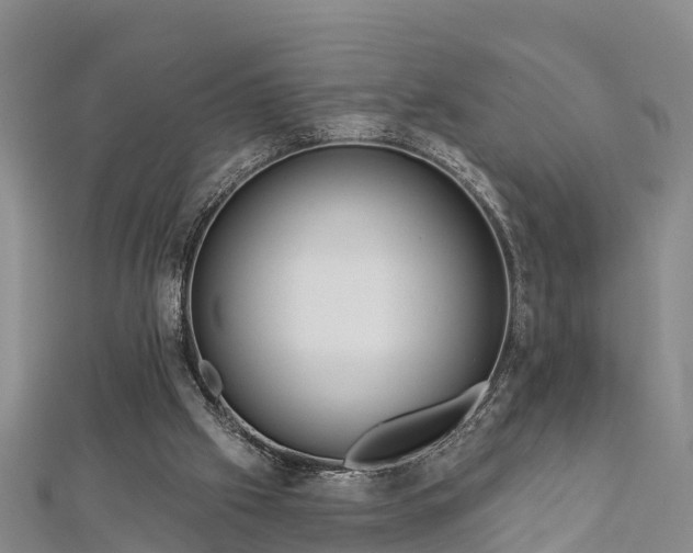 X0000112720057200909031425