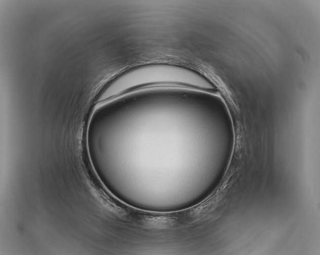 X0000112720058200909031425