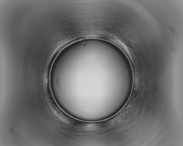 X0000112720059200909031425