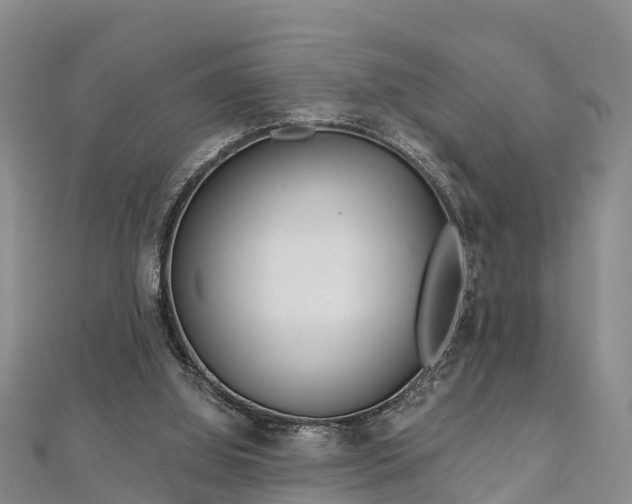 X0000112720060200909031425