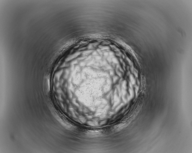 X0000112720061200909031425