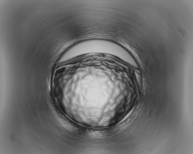 X0000112720062200909031425