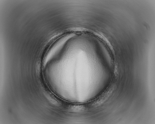 X0000112720063200909031425