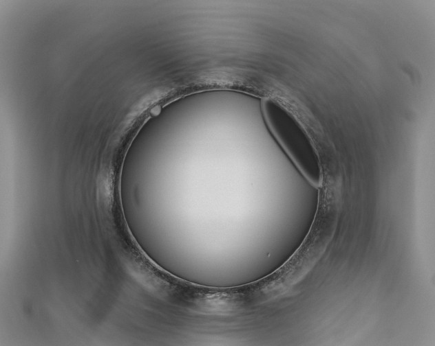 X0000112720064200909031425