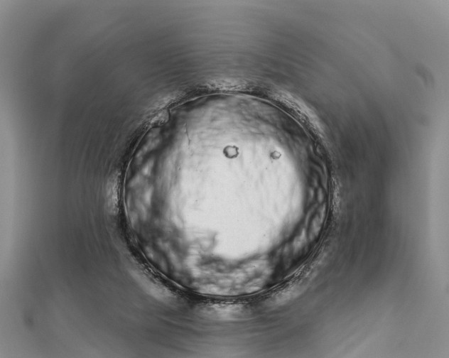 X0000112720065200909031425