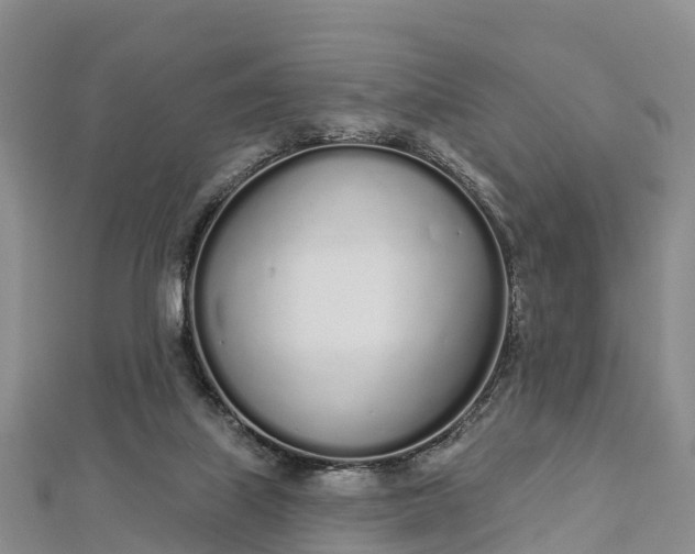 X0000112720067200909031425