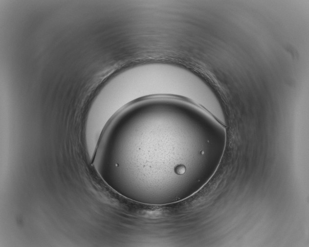 X0000112720068200909031425