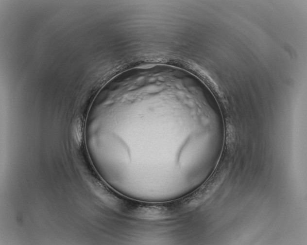 X0000112720069200909031425