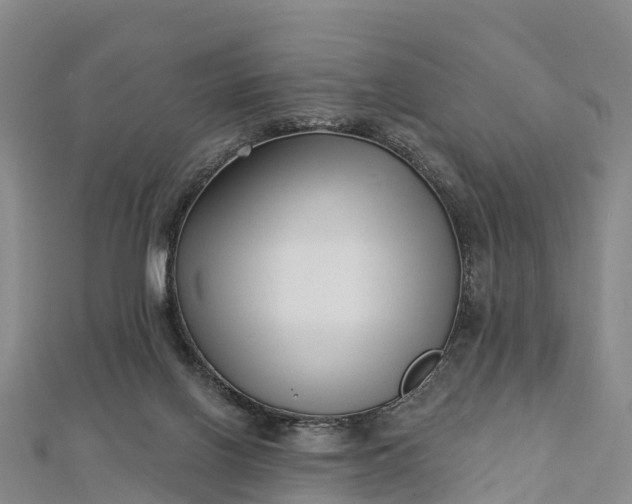 X0000112720070200909031425