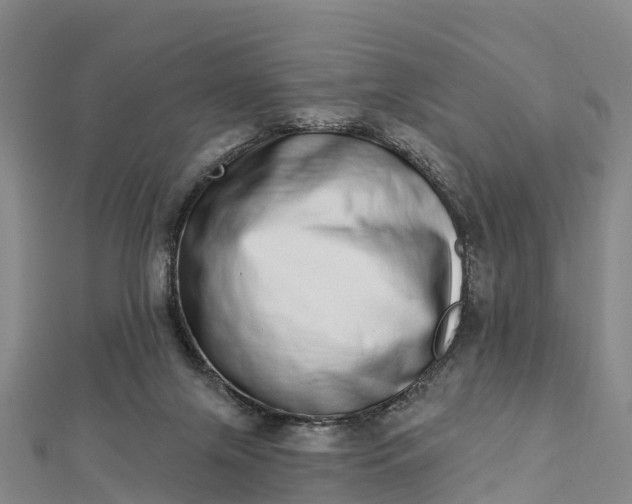 X0000112720071200909031425