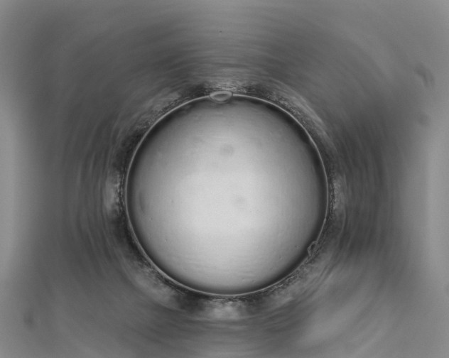 X0000112720073200909031425