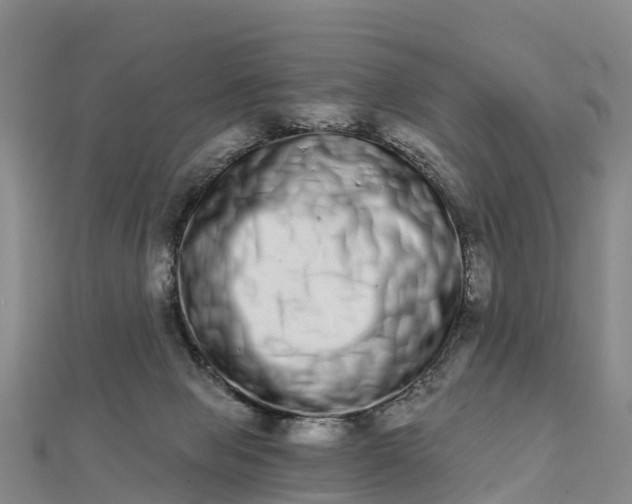 X0000112720077200909031425