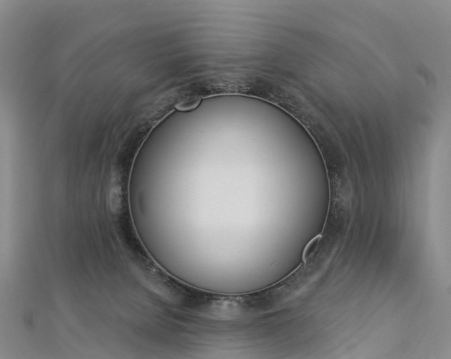 X0000112720080200909031425