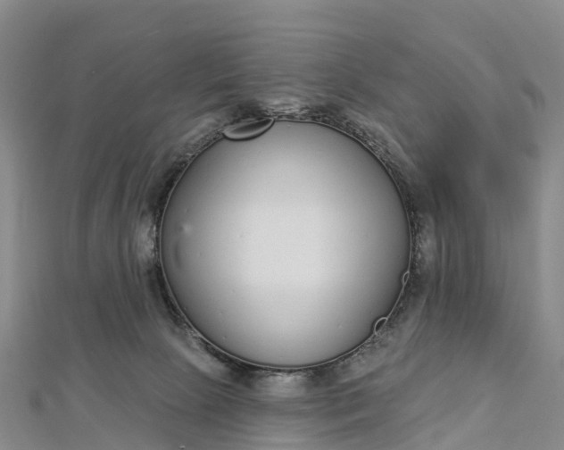 X0000112720081200909031425