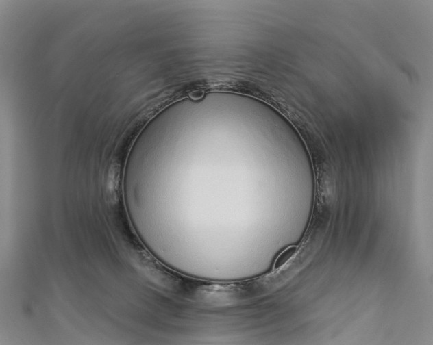 X0000112720082200909031425