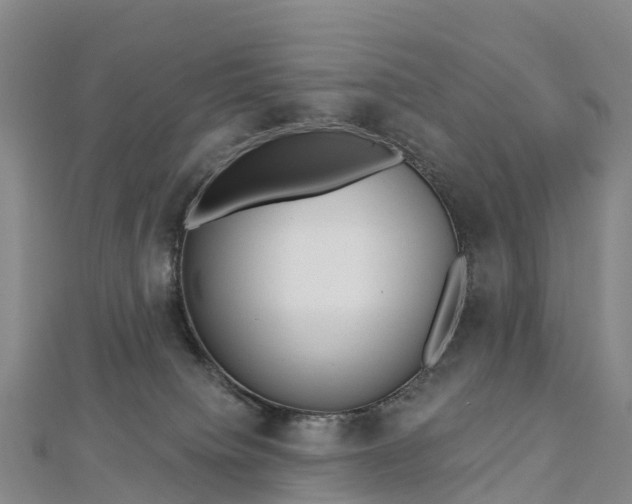 X0000112720084200909031425