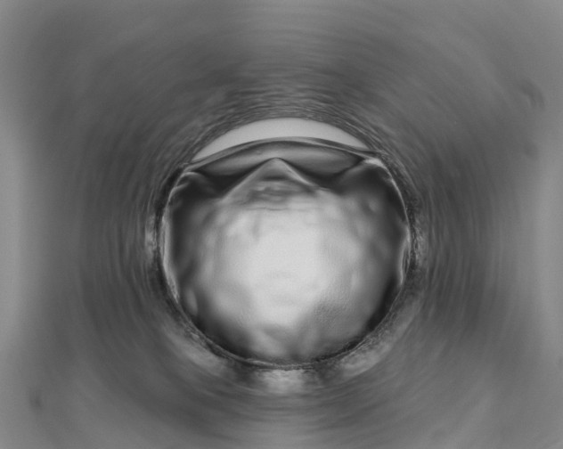 X0000112720085200909031425