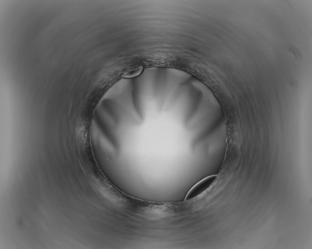 X0000112720086200909031425