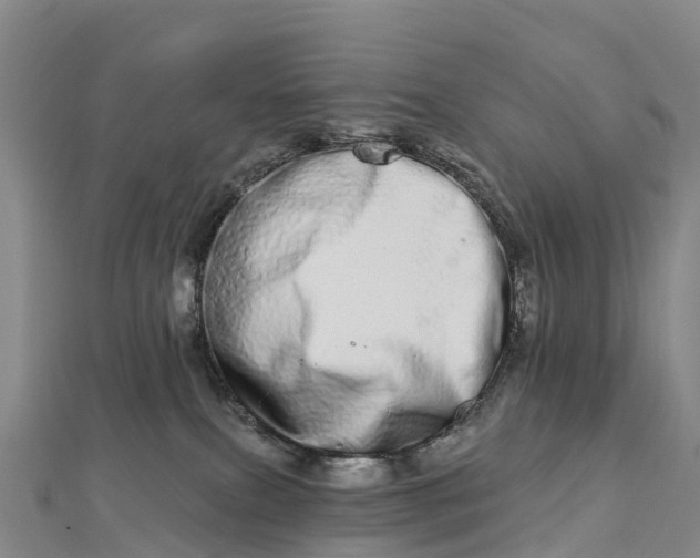 X0000112720087200909031425