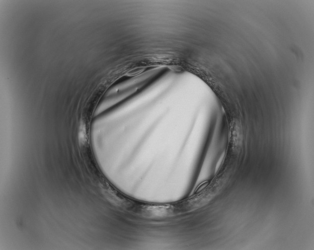 X0000112720089200909031425