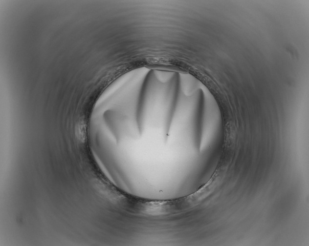 X0000112720090200909031425