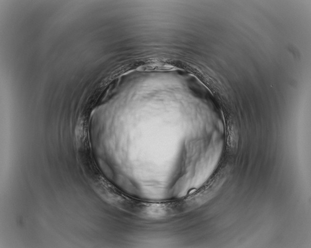 X0000112720091200909031425