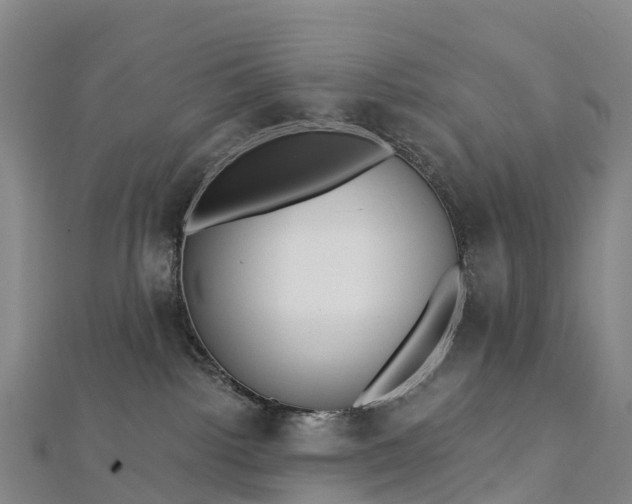 X0000112720092200909031425