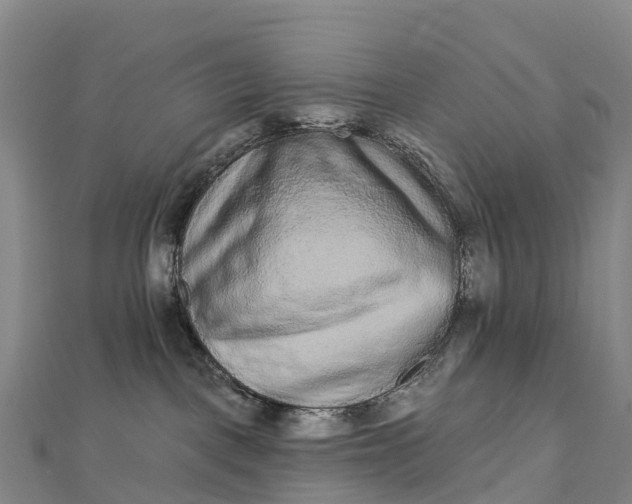 X0000112720093200909031425