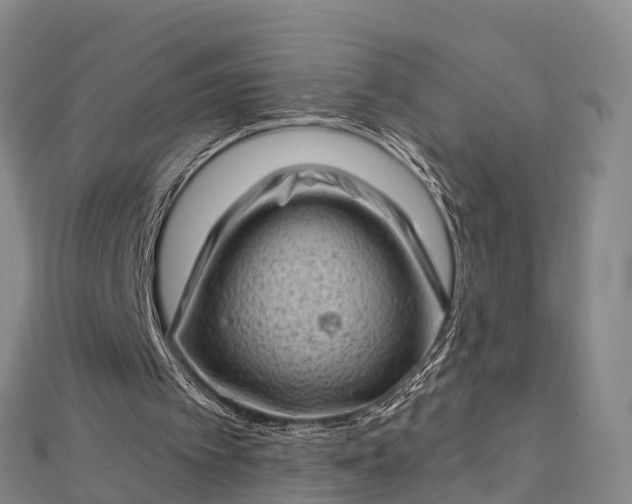 X0000112720097200909031425