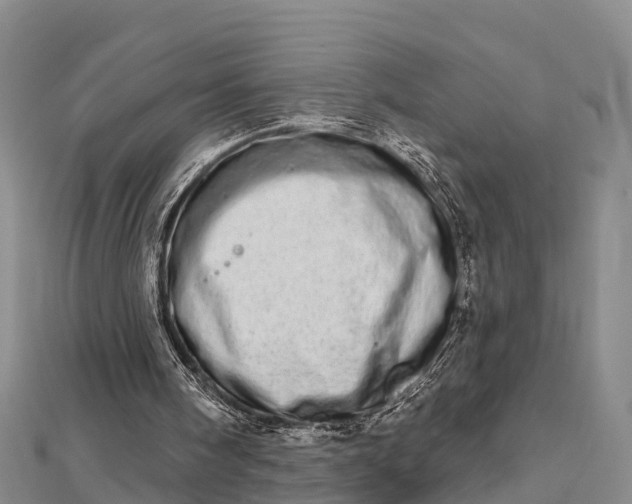 X0000112720098200909031425