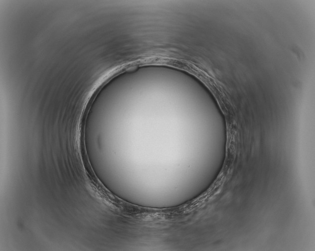 X0000112720100200909031425