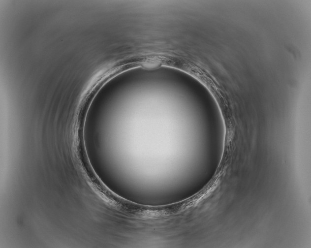 X0000112720101200909031425