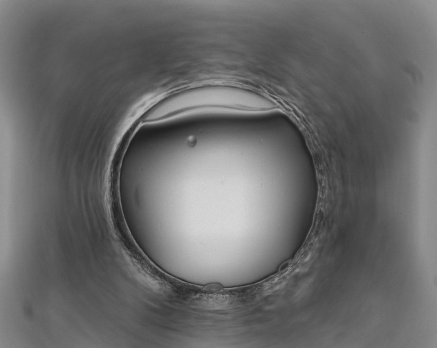 X0000112720104200909031425