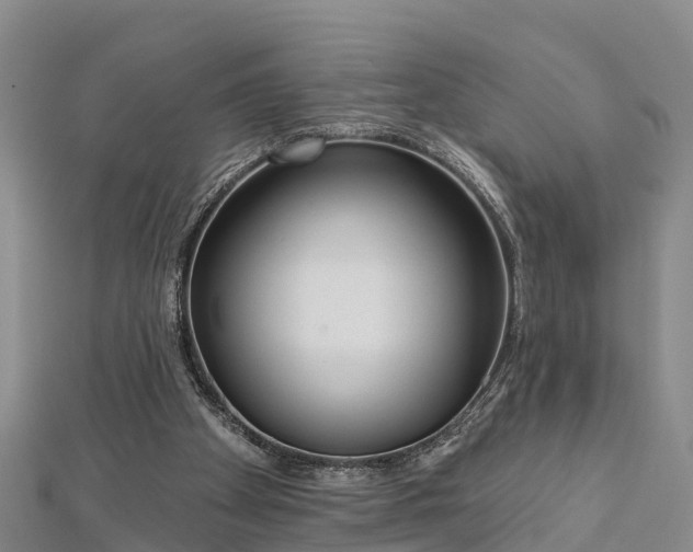 X0000112720105200909031425