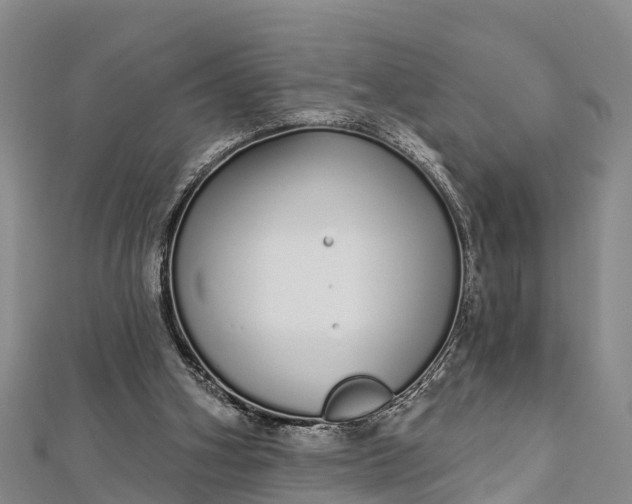 X0000112720106200909031425