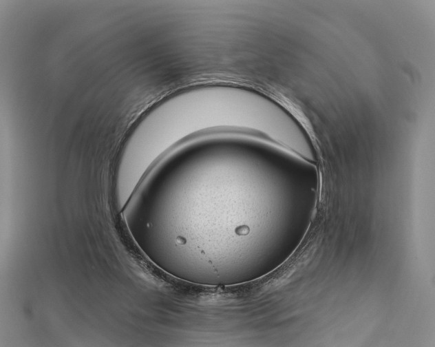 X0000112720109200909031425