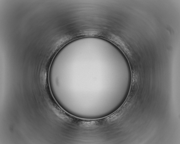 X0000112720110200909031425