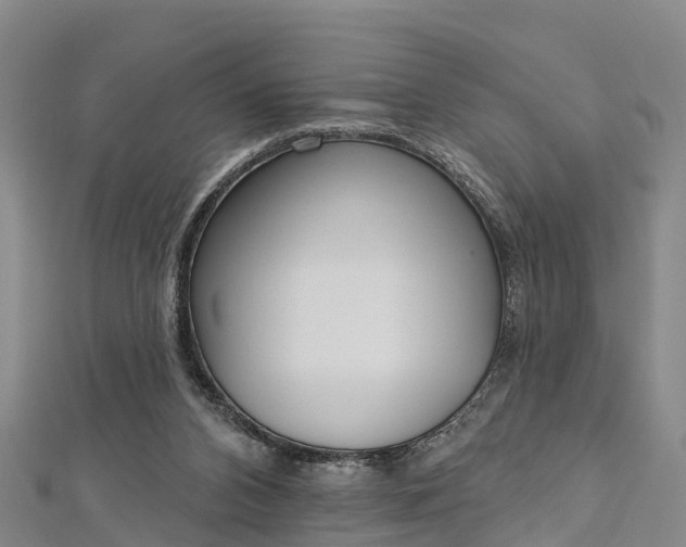 X0000112720112200909031425