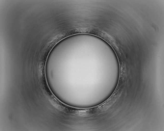 X0000112720114200909031425