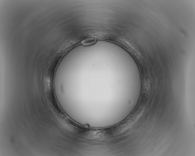 X0000112720117200909031425