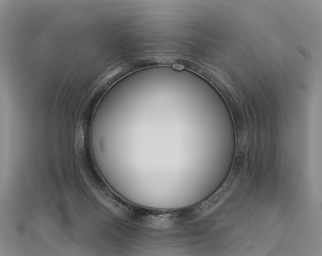 X0000112720120200909031425