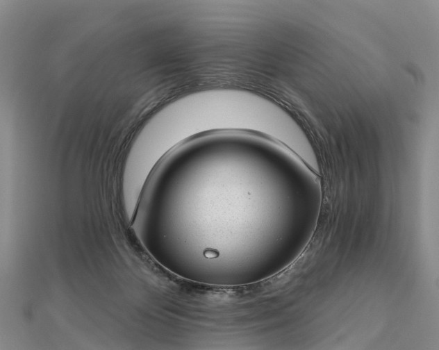 X0000112720124200909031425