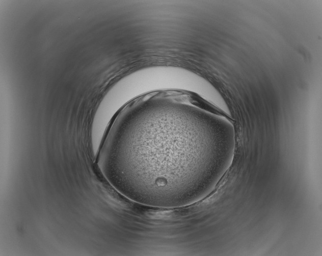 X0000112720132200909031424