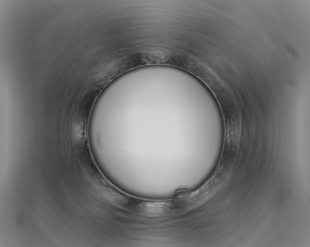 X0000112720134200909031424