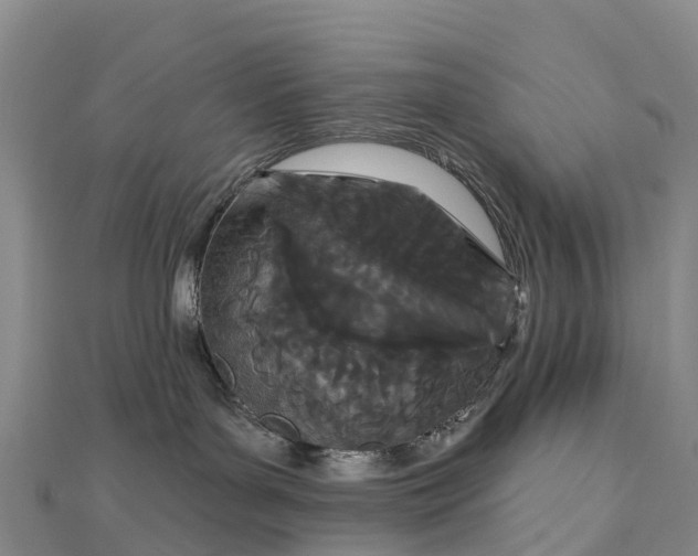 X0000112720143200909031424