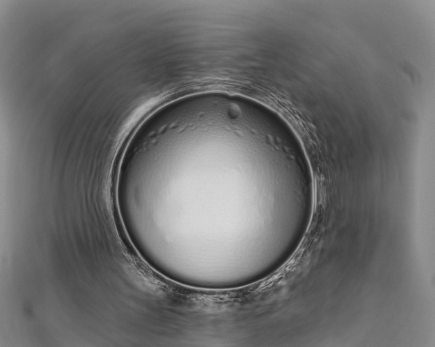 X0000112720147200909031424