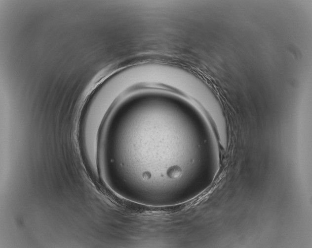 X0000112720150200909031424