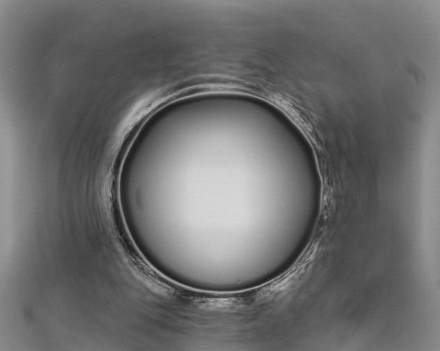 X0000112720151200909031424